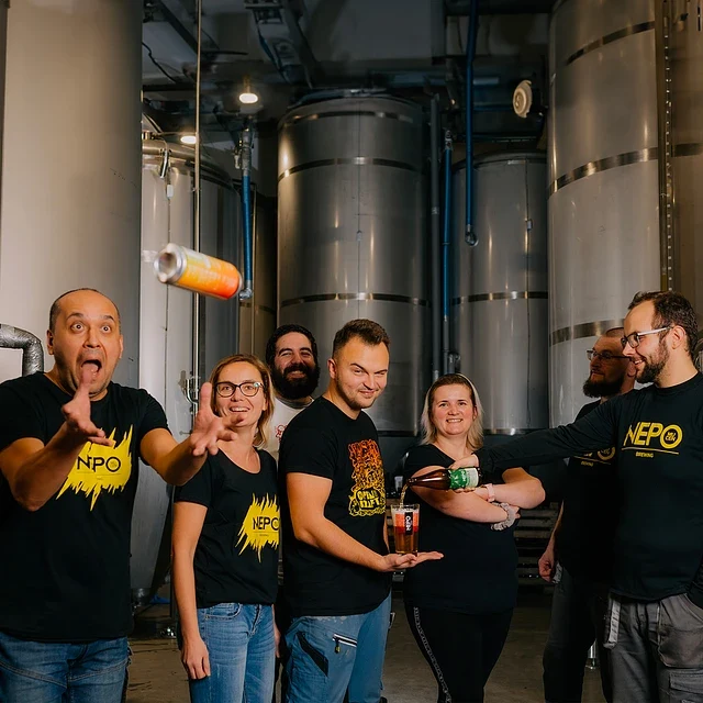 Bière Nepo Free Pan Da