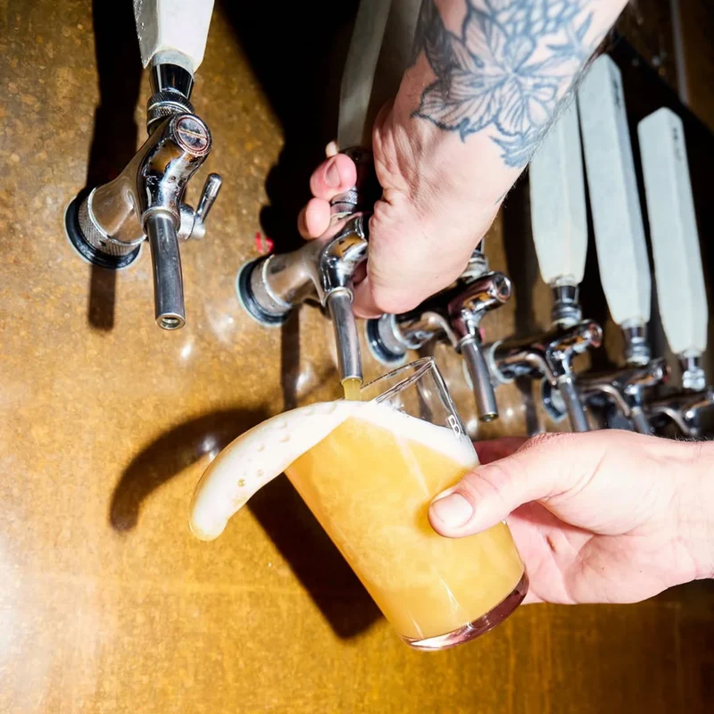 Bière Hazy IPA Never Drinking Again Whiplash