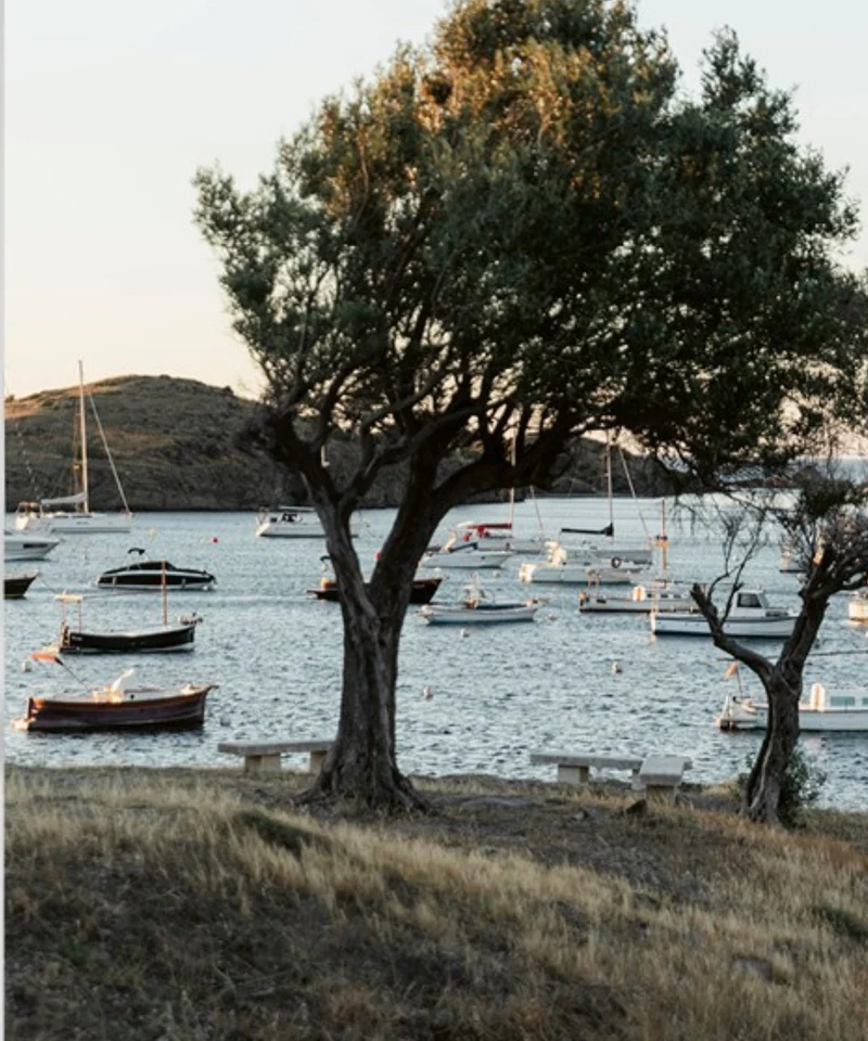 Mitilene Ouzo Piece of Greece