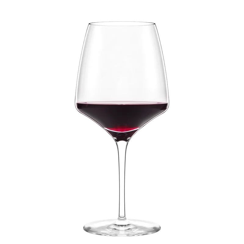 Burgunderglas Experience 6er Set