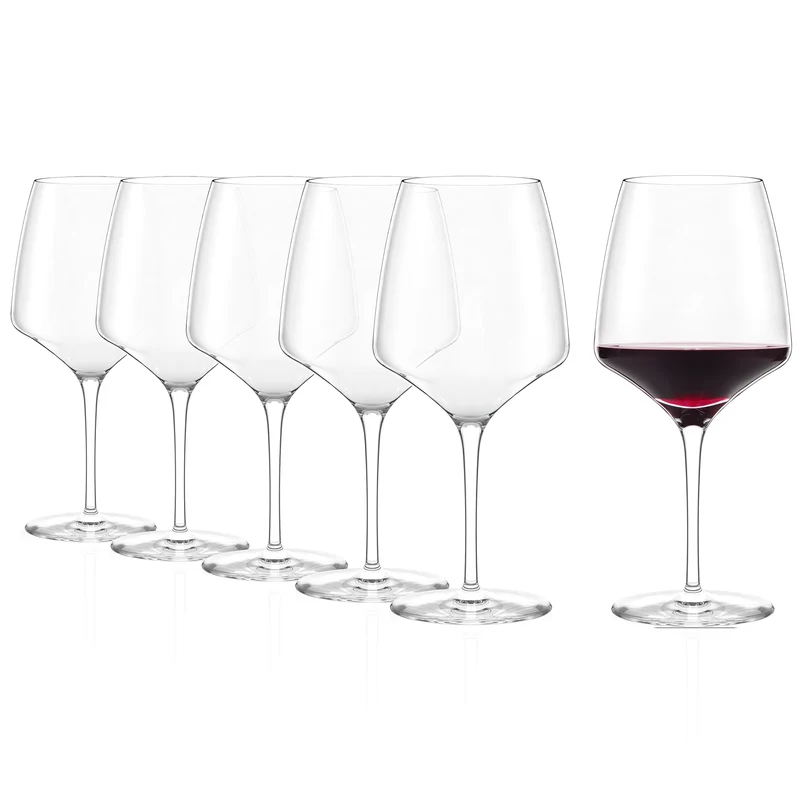 Burgunderglas Experience 6er Set