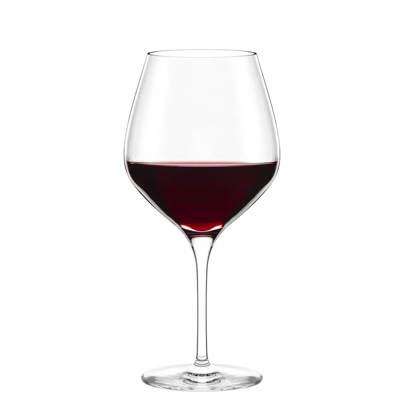 Burgunderglas Exquisit 6er Set