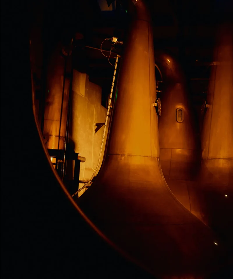 Bowmore 15 YO 1ST fill Bourbon Casks