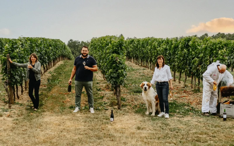 Vin rouge Sauv'Terre sans alcool 0,0%