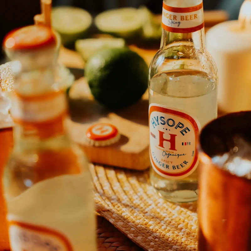 Ginger Beer spicy Bio Hysope 20 cl