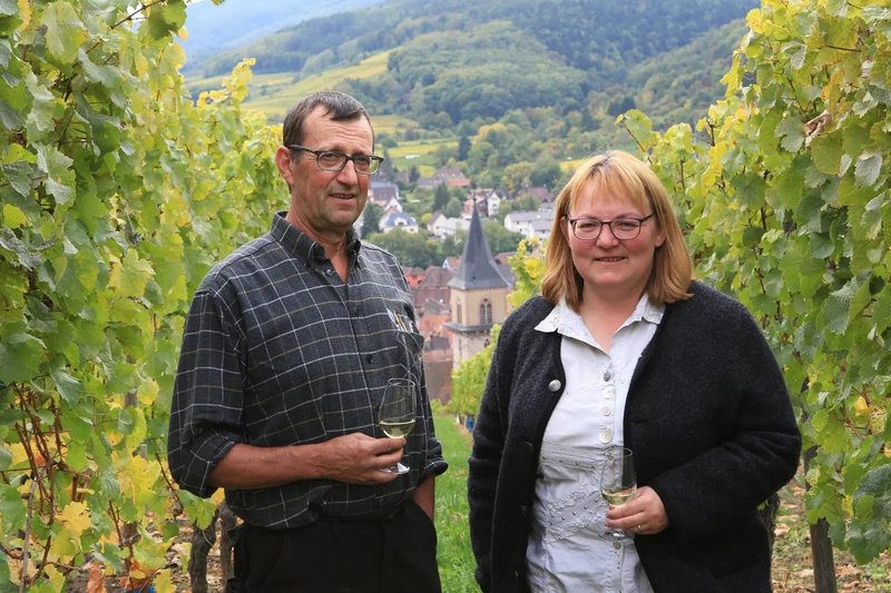 Effervescent blanc d'Alsace Ribo sans alcool 0,5%
