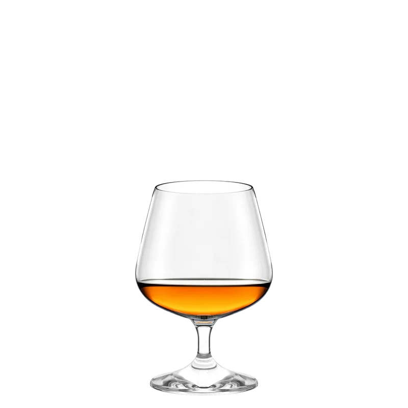 Cognacglas Professional 6er Set