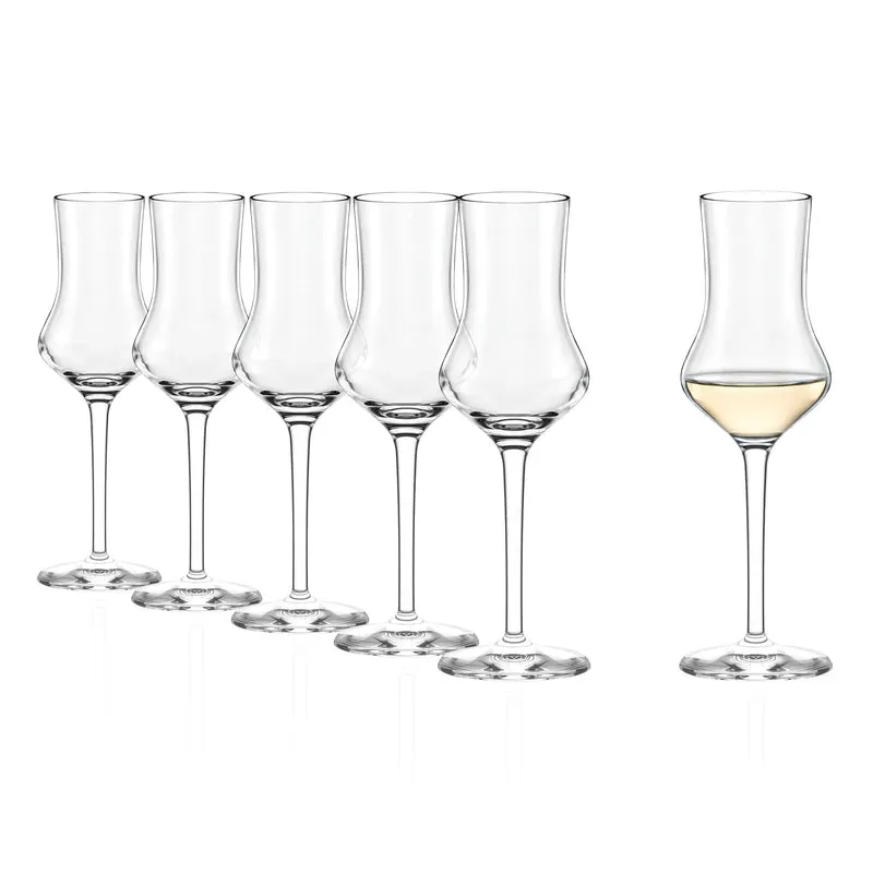 Grappaglas 6er Set