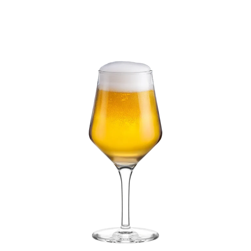 Craft Beer Glas 0,30 l 6er Set
