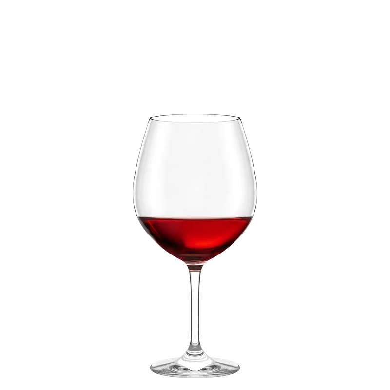 Burgunderglas Event 6er Set