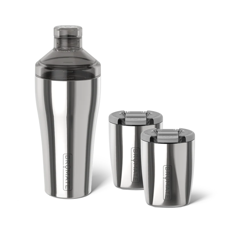 Cocktail Shaker + Rocks Bundle | Polished Stainless