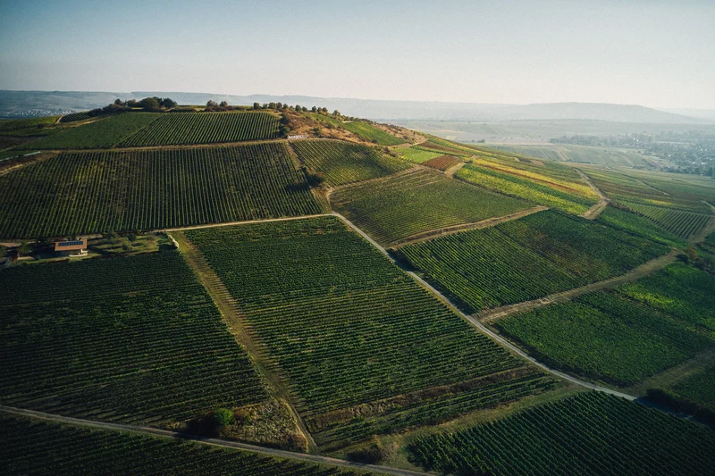 GRATIS GESCHENK AB 1000€: PARADIES RIESLING TROCKEN MAGNUM