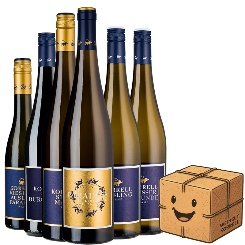 Sprechendes Weinpaket mit Verkostungsvideo via QR-Code zu YouTube