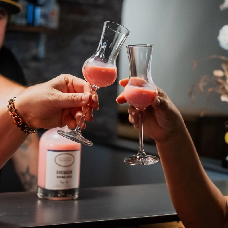 Erdbeer Sahnelikör | cremiger Erdbeeren Likör | 0,5L | 15%