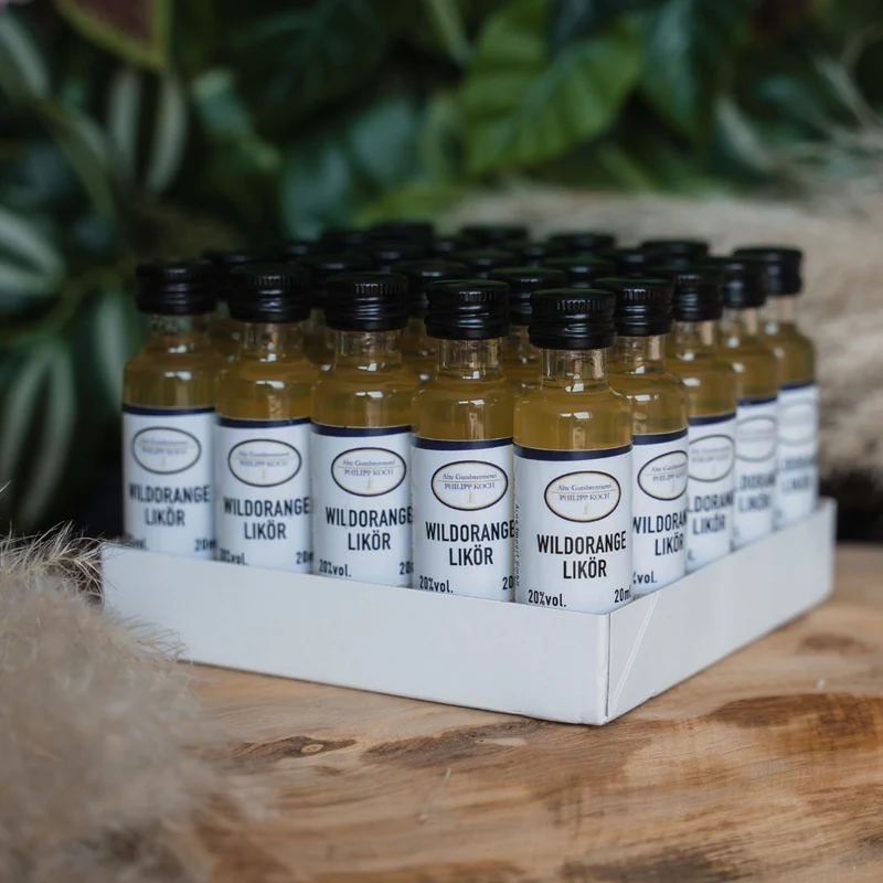 Orangen Likör Shots | 25 x 2CL | wilde Orange Party-Schnaps 20%