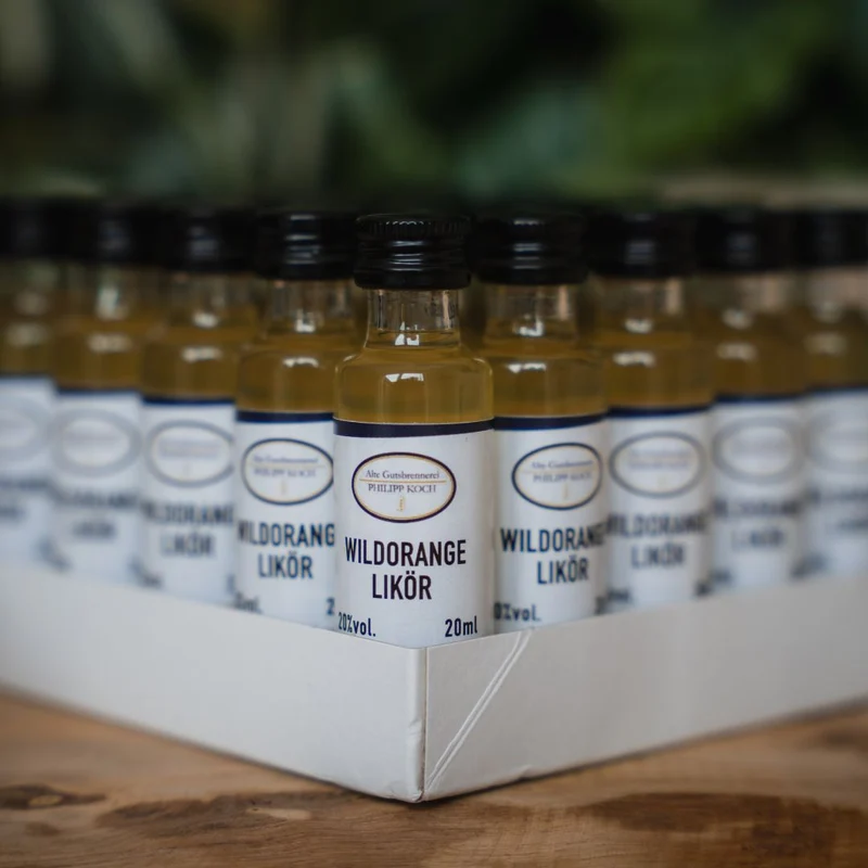 Orangen Likör Shots | 25 x 2CL | wilde Orange Party-Schnaps 20%
