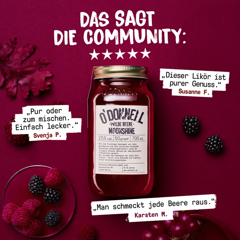 Wilde Beere Likör - 25% vol.