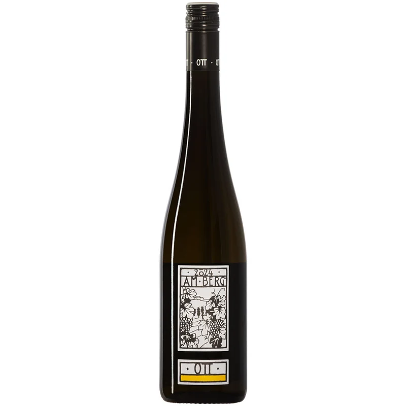 Bernhard Ott Grüner Veltliner am Berg BIO 2025